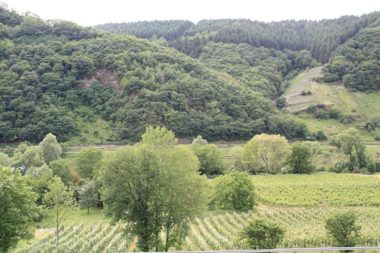Weingut Sauer-Kettermann Βίλα Enkirch Εξωτερικό φωτογραφία