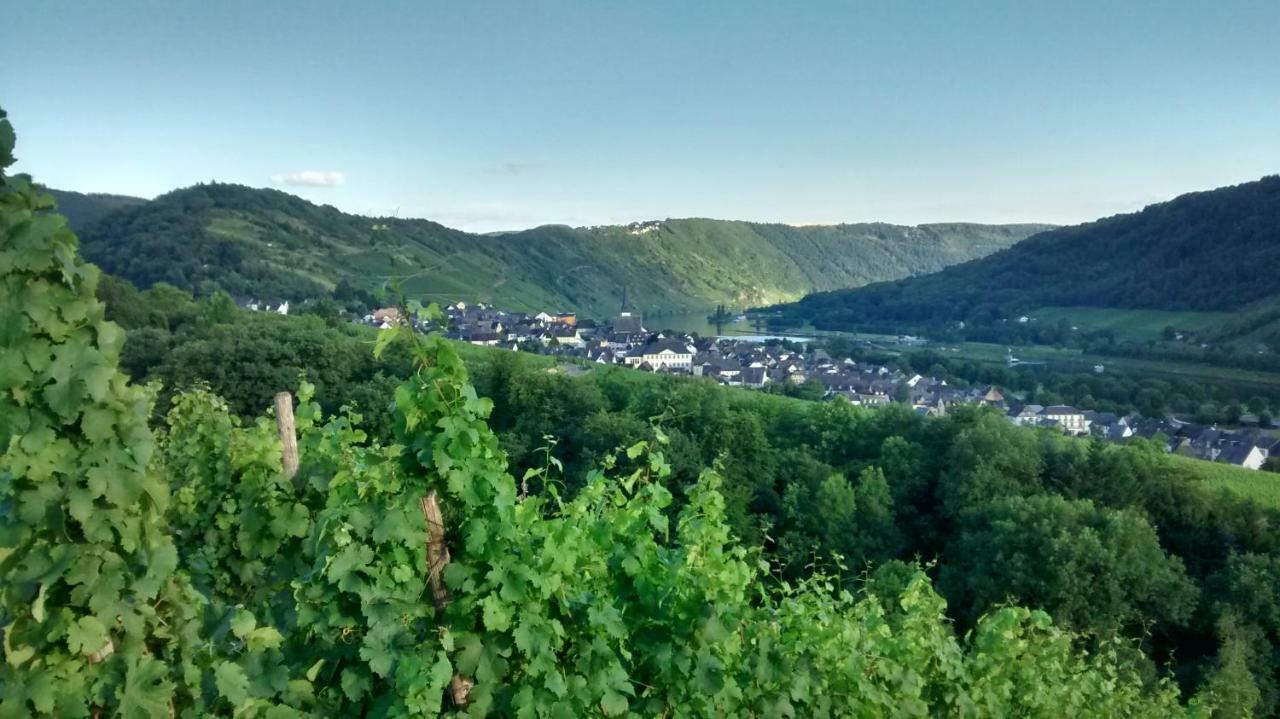 Weingut Sauer-Kettermann Βίλα Enkirch Εξωτερικό φωτογραφία