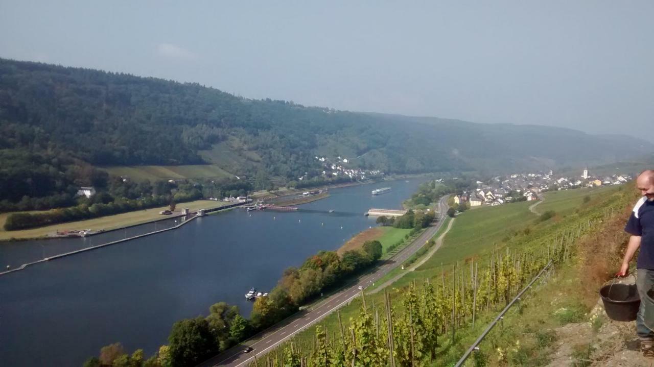 Weingut Sauer-Kettermann Βίλα Enkirch Εξωτερικό φωτογραφία