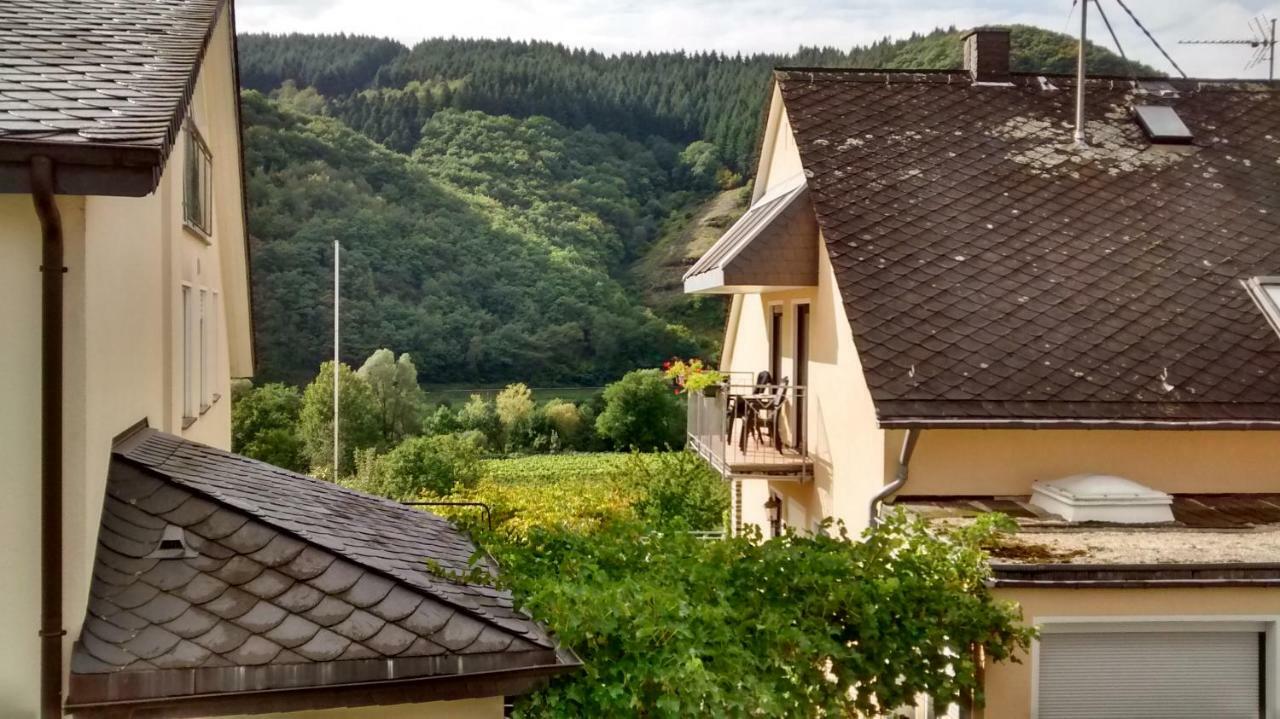 Weingut Sauer-Kettermann Βίλα Enkirch Εξωτερικό φωτογραφία