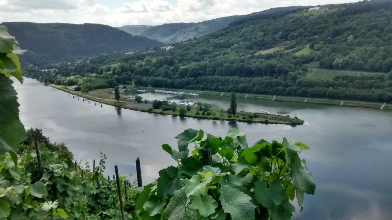 Weingut Sauer-Kettermann Βίλα Enkirch Εξωτερικό φωτογραφία