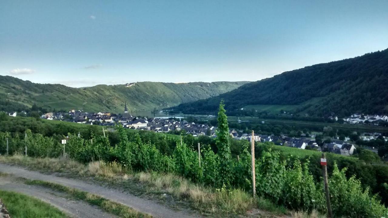 Weingut Sauer-Kettermann Βίλα Enkirch Εξωτερικό φωτογραφία