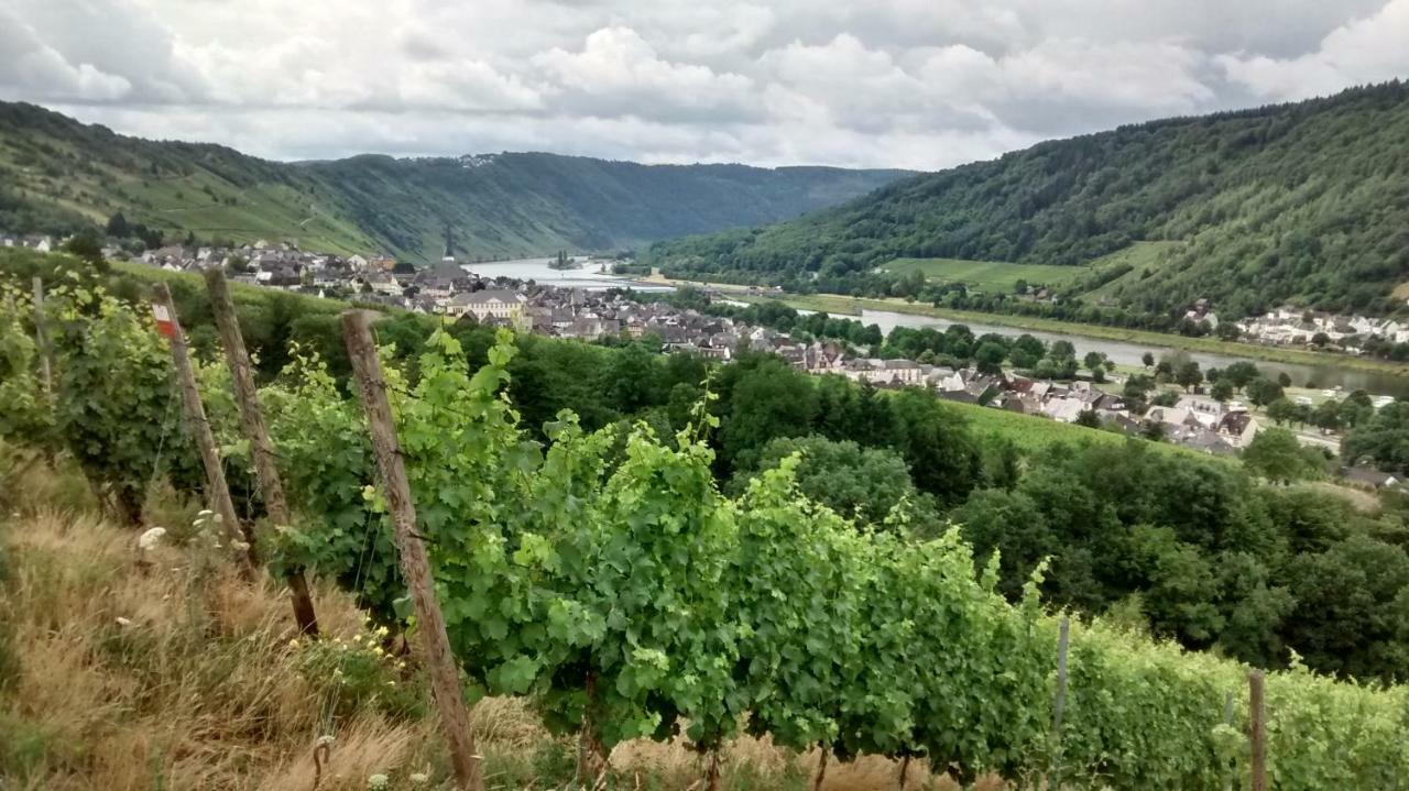 Weingut Sauer-Kettermann Βίλα Enkirch Εξωτερικό φωτογραφία