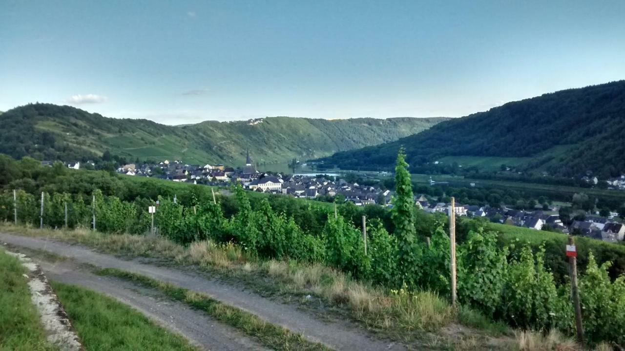 Weingut Sauer-Kettermann Βίλα Enkirch Εξωτερικό φωτογραφία