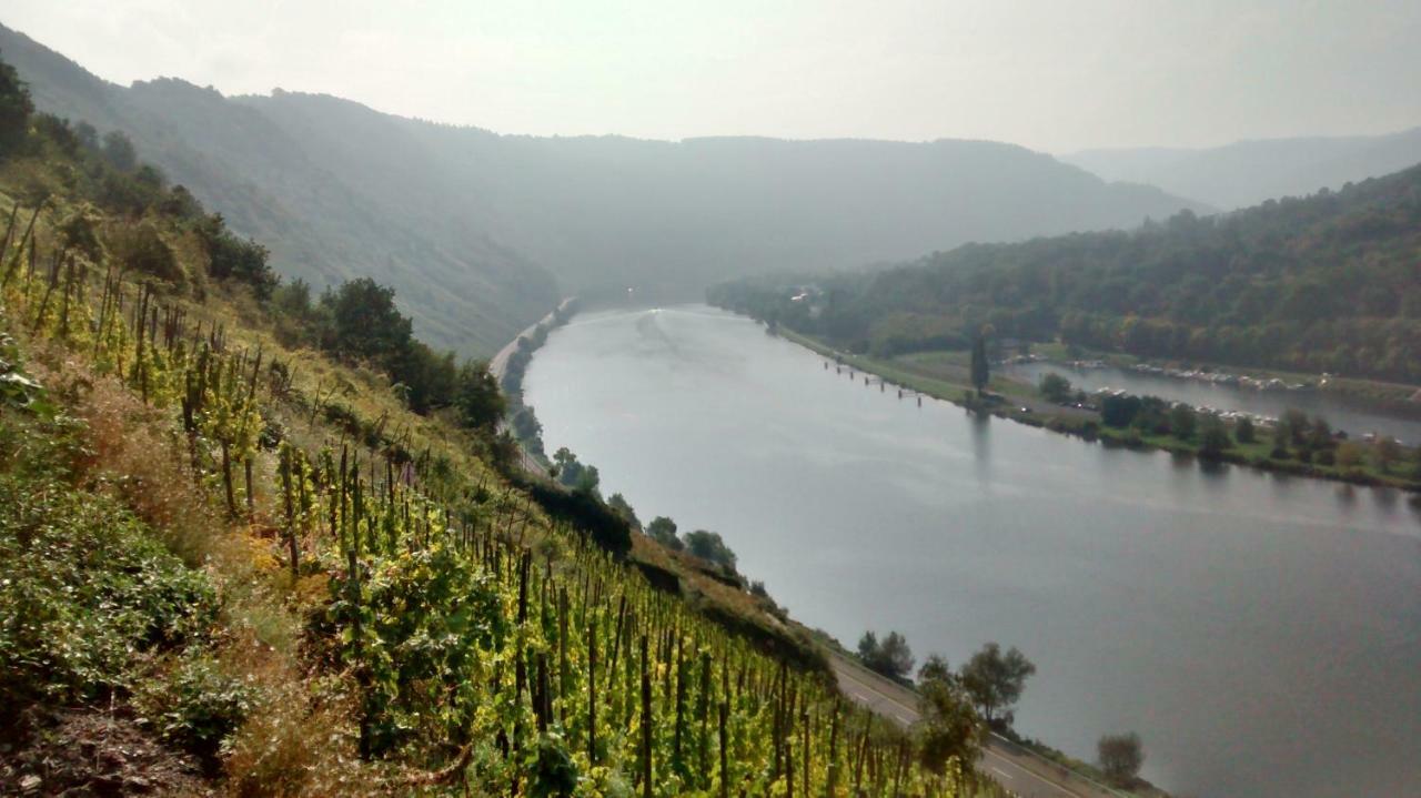 Weingut Sauer-Kettermann Βίλα Enkirch Εξωτερικό φωτογραφία